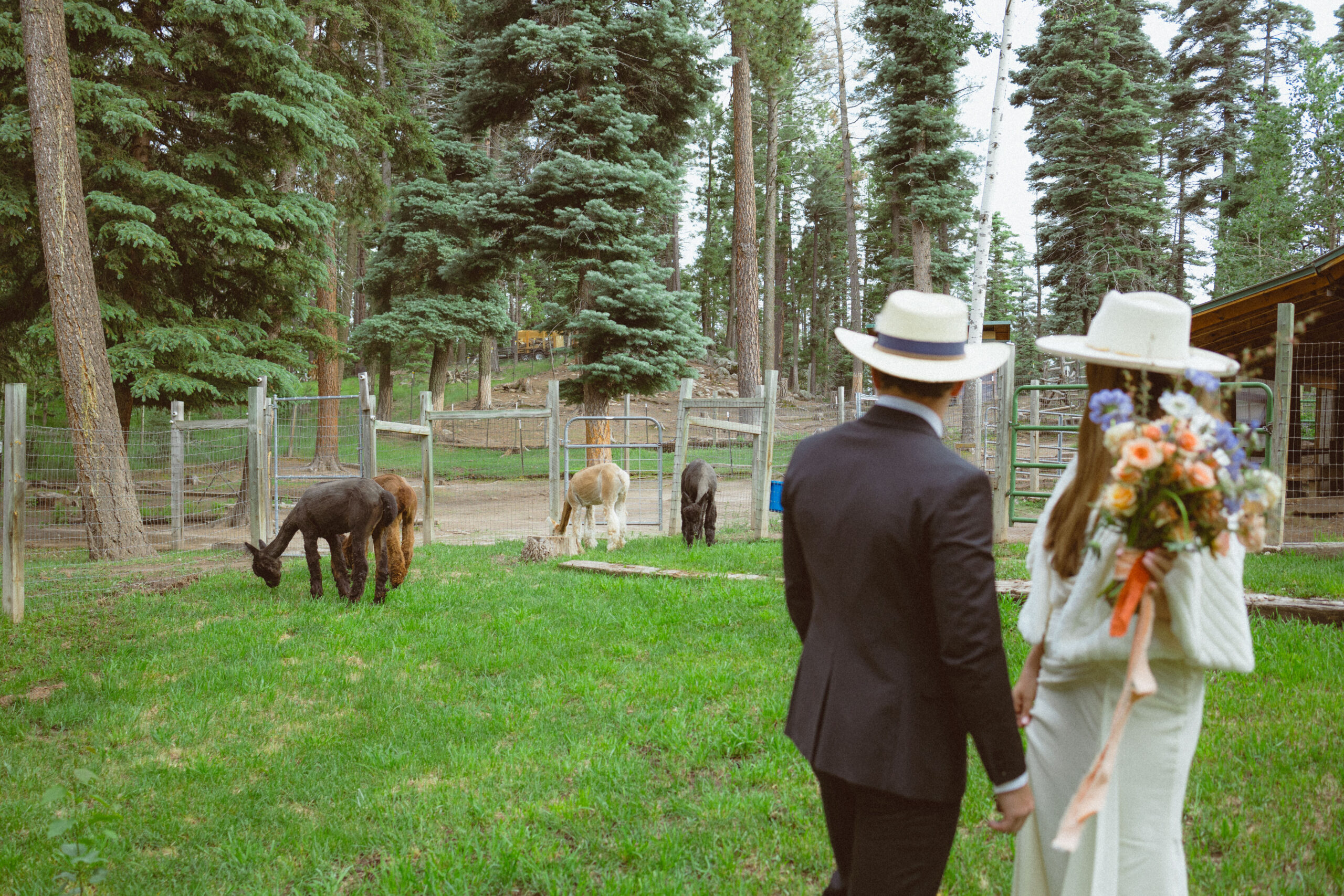 bride and groom pose together after their unique New Mexico elopement