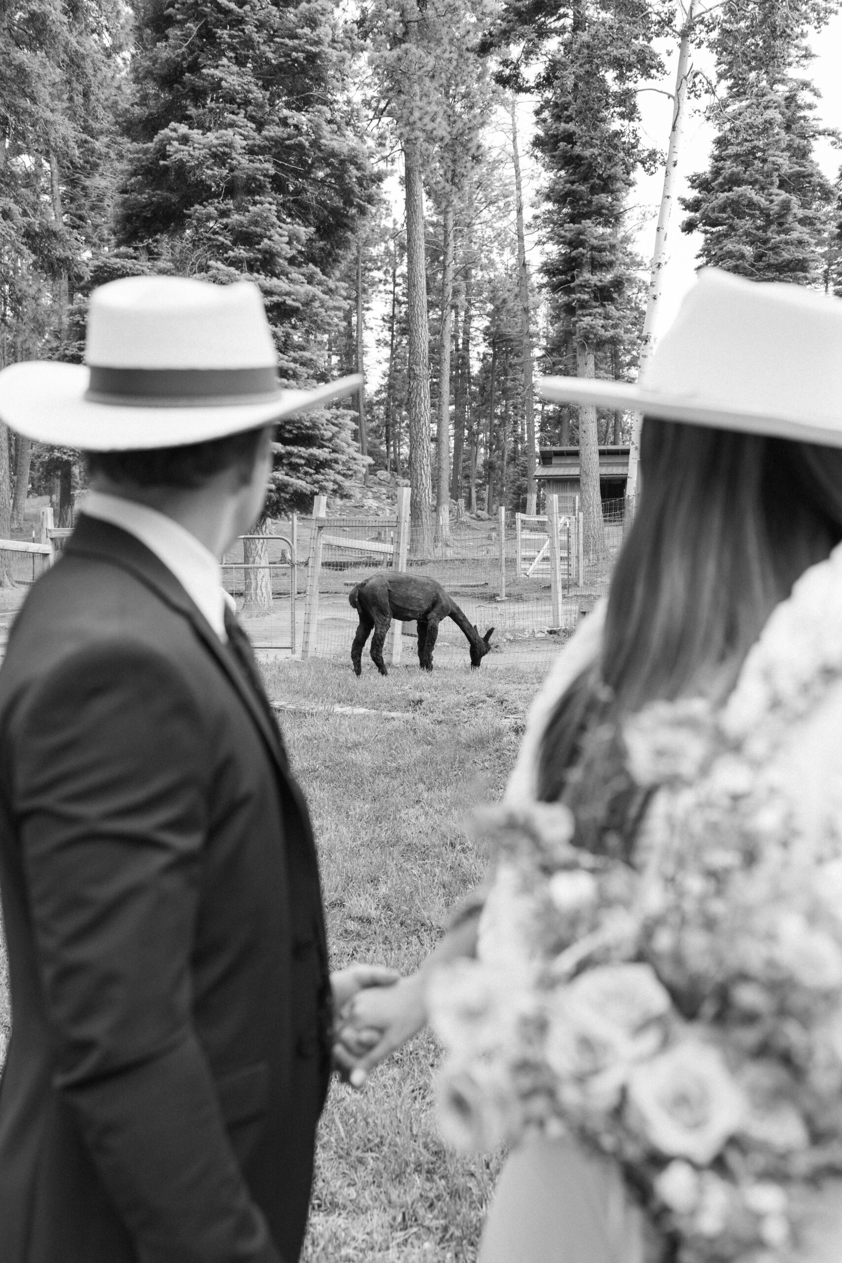 bride and groom pose together after their unique New Mexico elopement