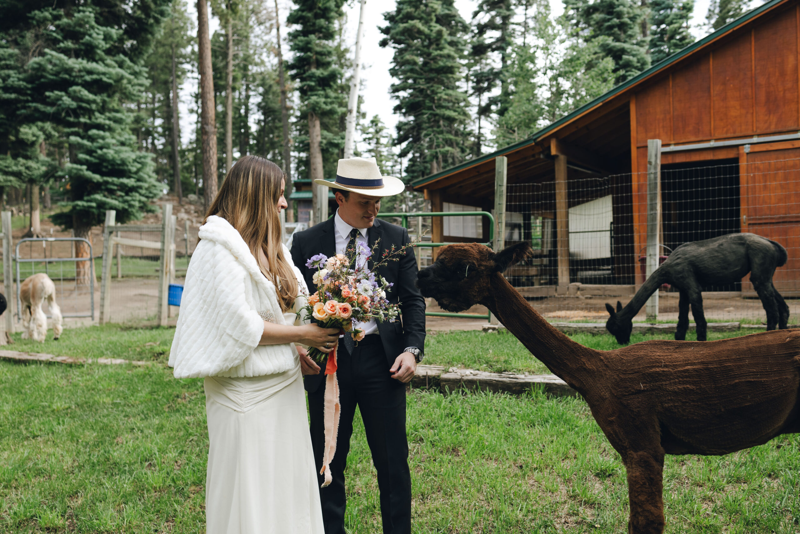 bride and groom pose together after their unique New Mexico elopement