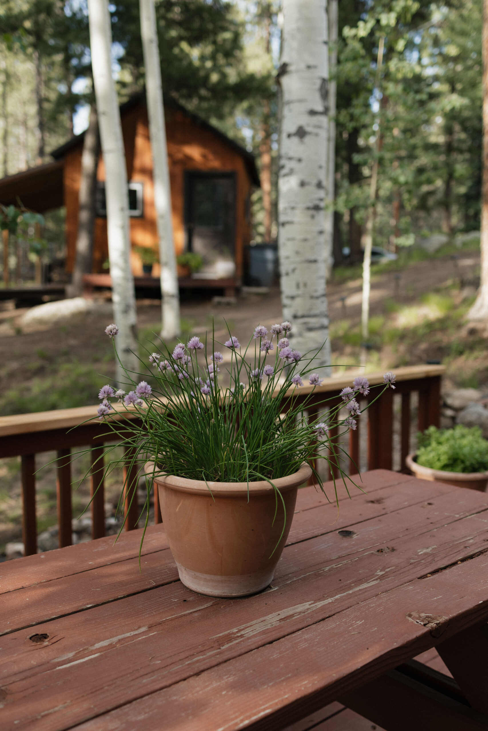 unconventional elopement inspiration from New Mexico!