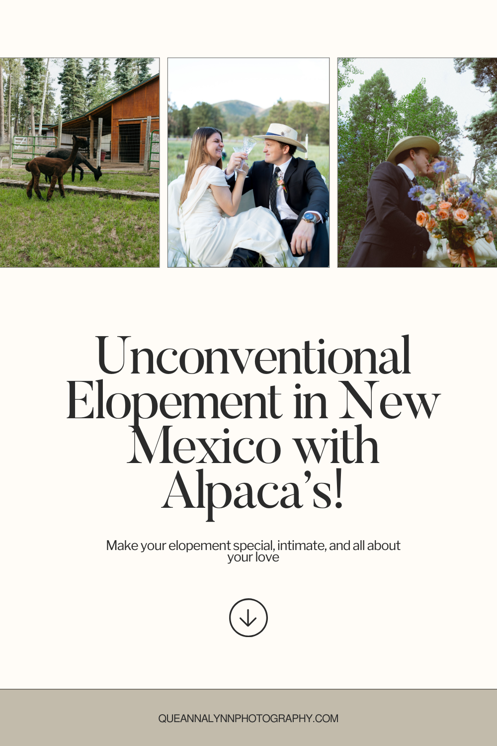 unconventional elopement inspiration from New Mexico!